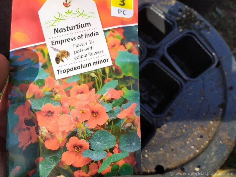 Pacote de sementes de Chagas - Tropaeolum minor 'Empress of India' - www.queridasplantas.com